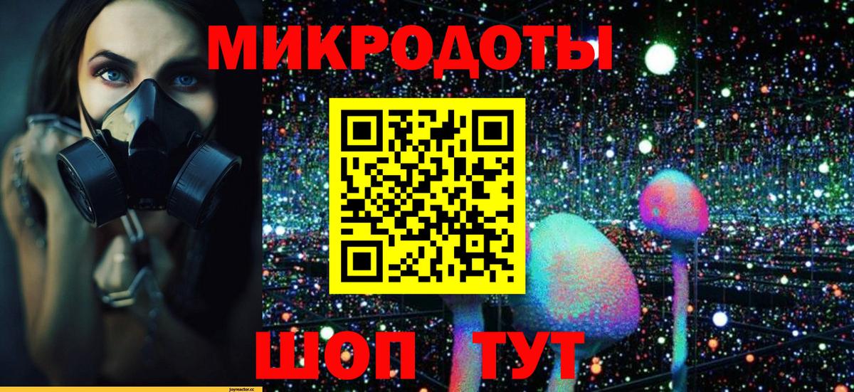 Электрогорск  Галлюциногенные грибы MAGIC MUSHROOMS  цены наркотик  Вход с VPN 