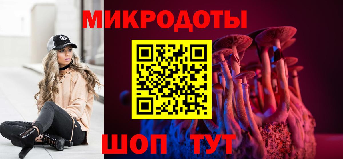 Псилоцибиновые грибы Psilocybe Электрогорск